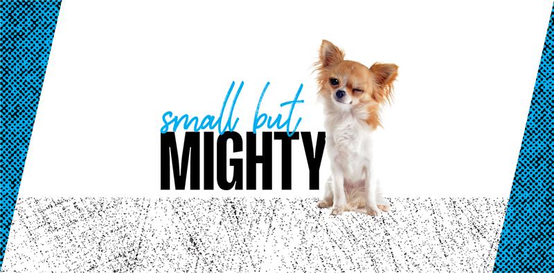 Small But Mighty